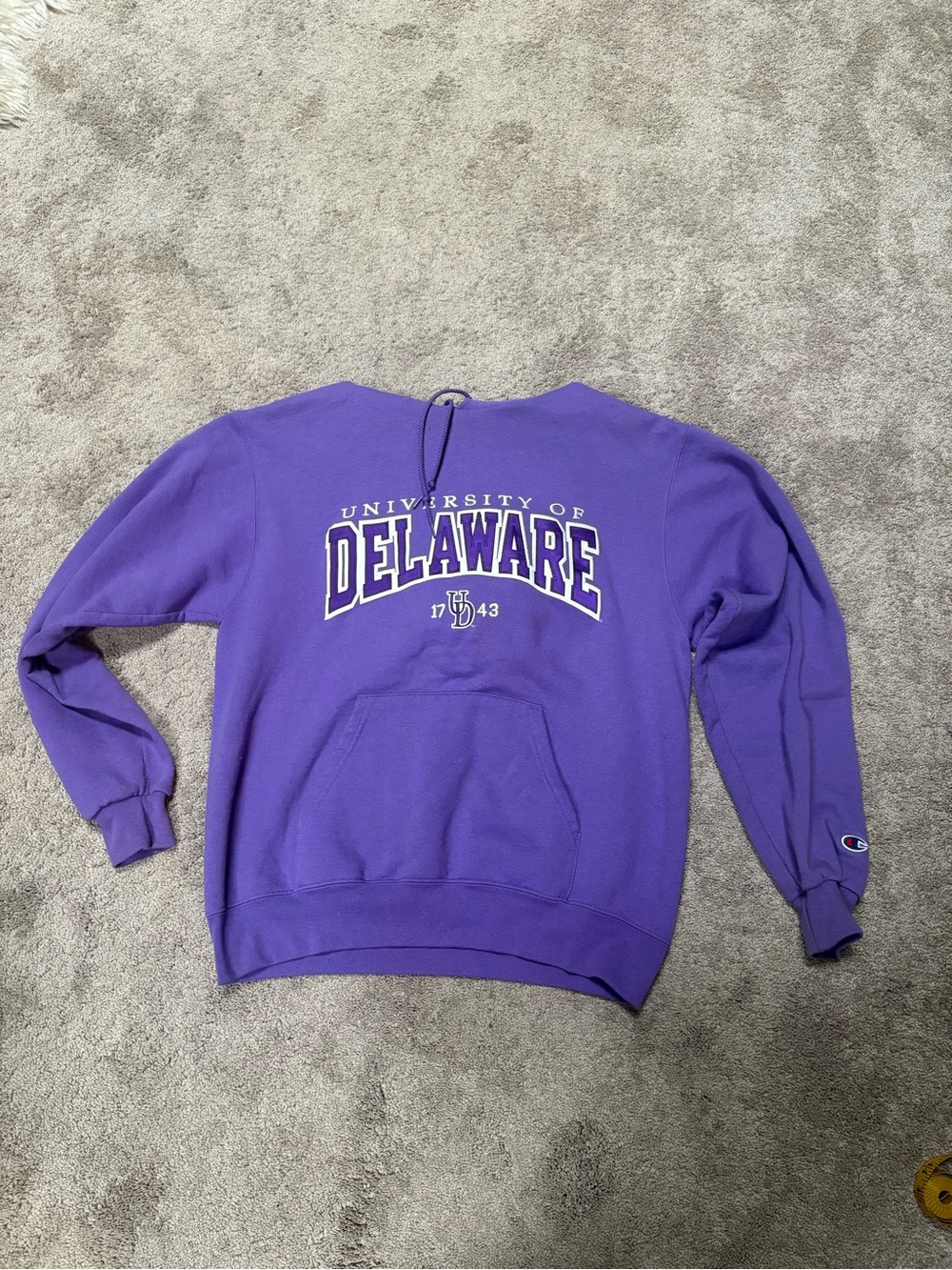 Champion Purple University of Delaware Pullover Sweatshirt